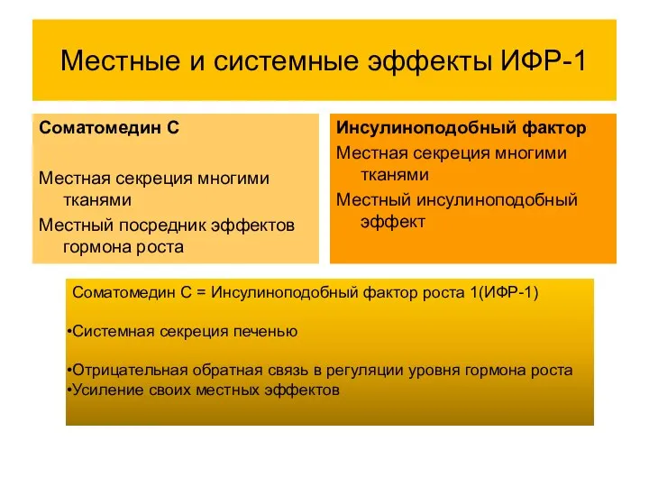 Местные и системные эффекты ИФР-1 Инсулиноподобный фактор Местная секреция многими тканями