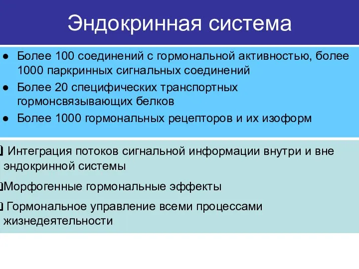 Эндокринная система Более 100 соединений с гормональной активностью, более 1000 паркринных