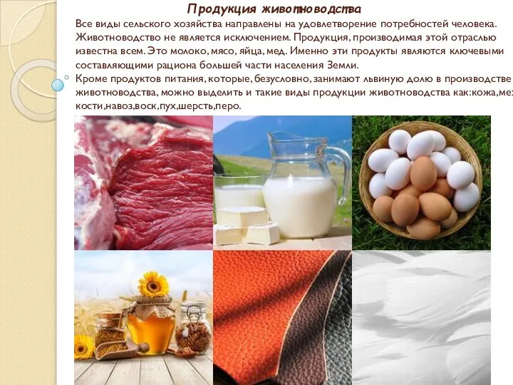 Продукция животноводства Все виды сельского хозяйства направлены на удовлетворение потребностей человека.