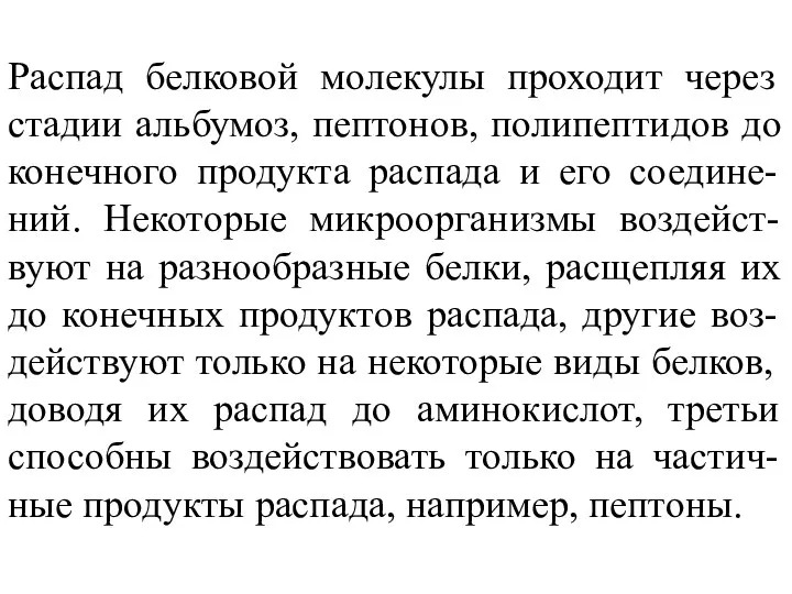 Распад белковой молекулы проходит через стадии альбумоз, пептонов, полипептидов до конечного