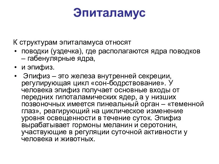 Эпиталамус К структурам эпиталамуса относят поводки (уздечка), где располагаются ядра поводков