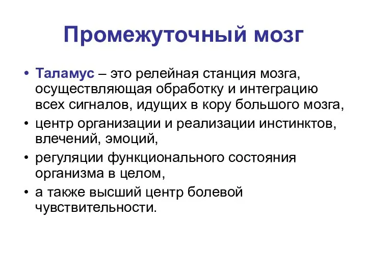 Промежуточный мозг Таламус – это релейная станция мозга, осуществляющая обработку и