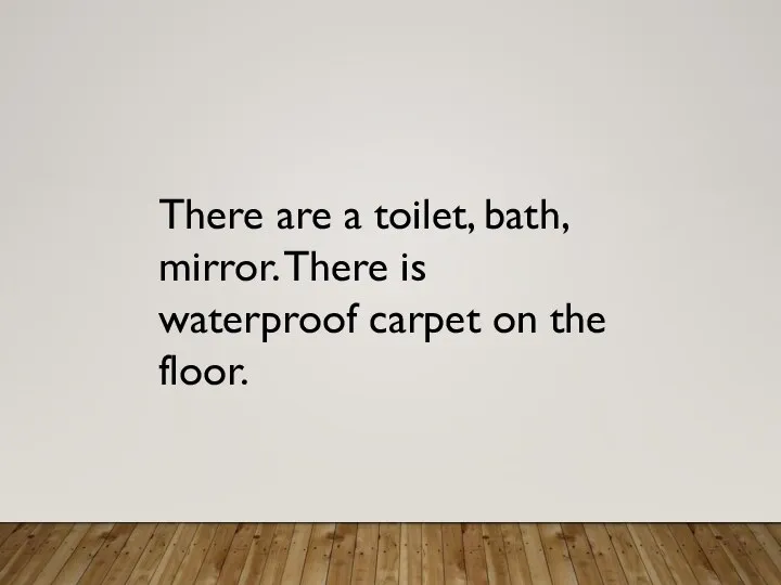 There are a toilet, bath, mirror. There is waterproof carpet on the floor.