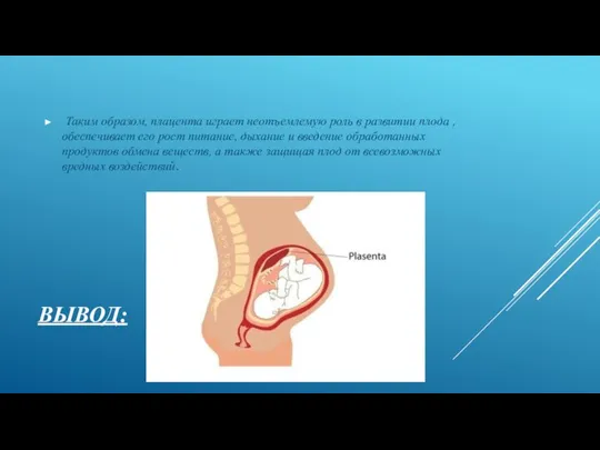 ВЫВОД: Таким образом, плацента играет неотъемлемую роль в развитии плода ,