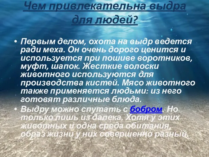 Чем привлекательна выдра для людей? Первым делом, охота на выдр ведется