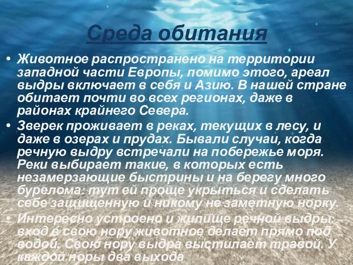 Среда обитания Животное распространено на территории западной части Европы, помимо этого,