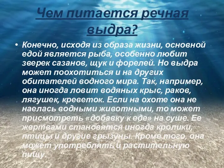 Чем питается речная выдра? Конечно, исходя из образа жизни, основной едой