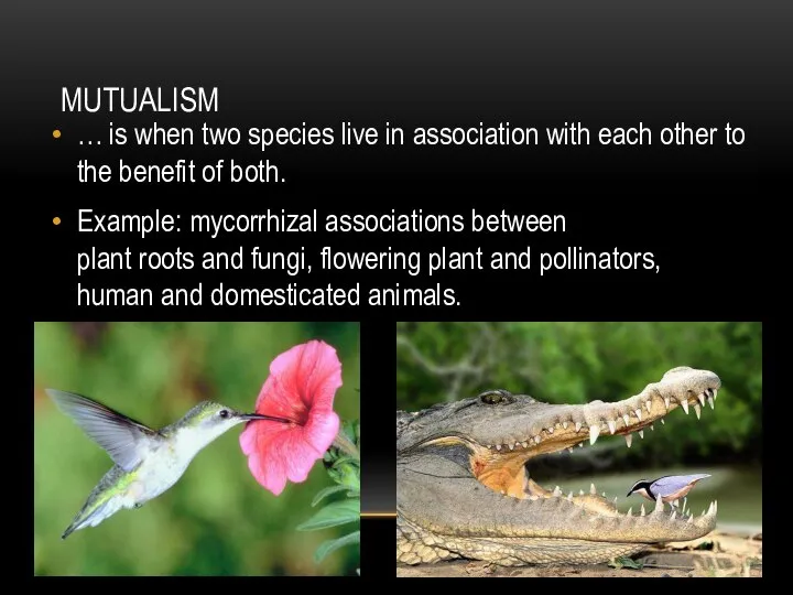 MUTUALISM … is when two species live in association with each