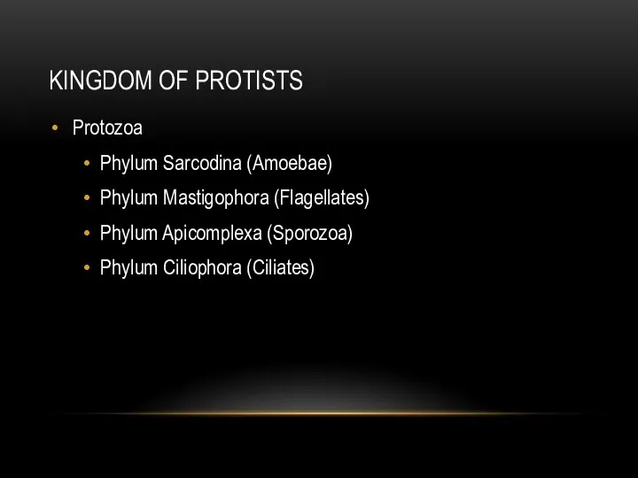 KINGDOM OF PROTISTS Protozoa Phylum Sarcodina (Amoebae) Phylum Mastigophora (Flagellates) Phylum Apicomplexa (Sporozoa) Phylum Ciliophora (Ciliates)