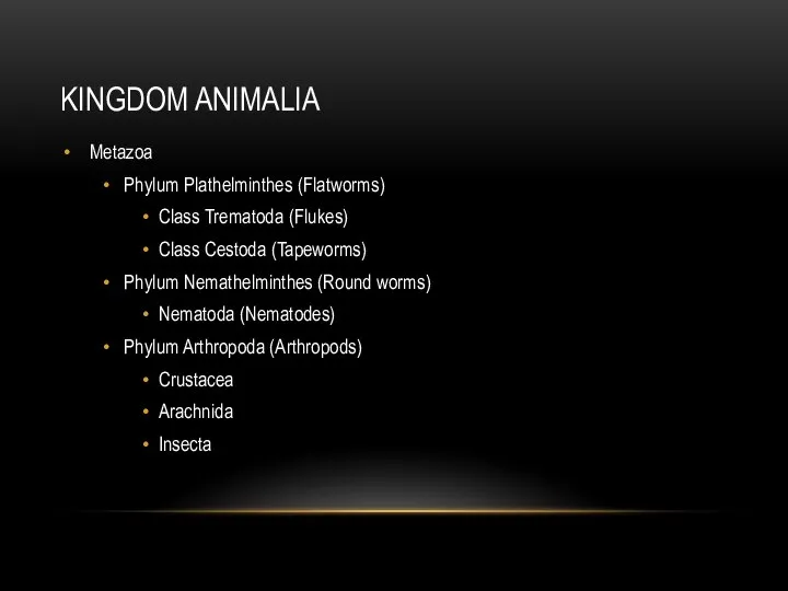 KINGDOM ANIMALIA Metazoa Phylum Plathelminthes (Flatworms) Class Trematoda (Flukes) Class Cestoda