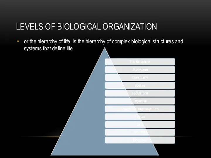 LEVELS OF BIOLOGICAL ORGANIZATION or the hierarchy of life, is the