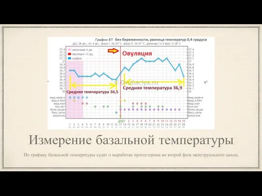 Измерение базальной температуры По графику базальной температуры судят о выработке прогестерона во второй фазе менструального цикла.