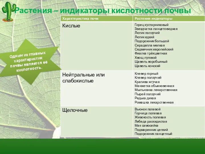 Растения – индикаторы кислотности почвы Одним из главных характеристик почвы является её кислотность.