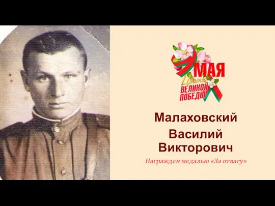 Малаховский Василий Викторович Награжден медалью «За отвагу»