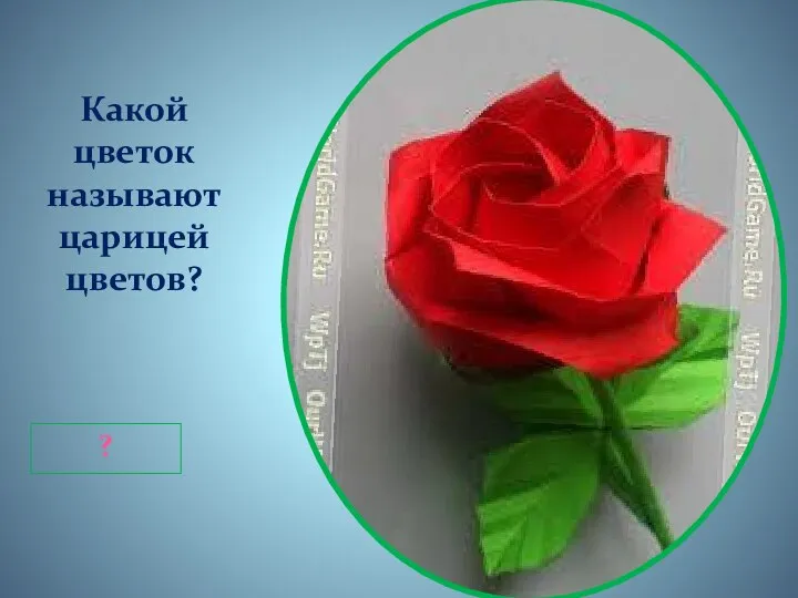 Какой цветок называют царицей цветов? ?