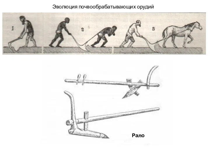 Рало Эволюция почвообрабатывающих орудий