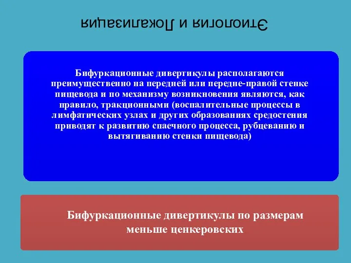 Бифуркационные дивертикулы располагаются преимущественно на передней или передне-правой стенке пищевода и