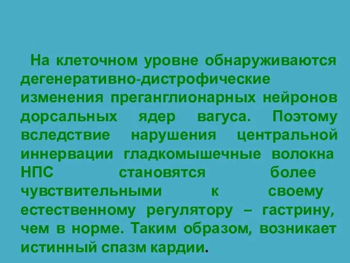 На клеточном уровне обнаруживаются дегенеративно-дистрофические изменения преганглионарных нейронов дорсальных ядер вагуса.