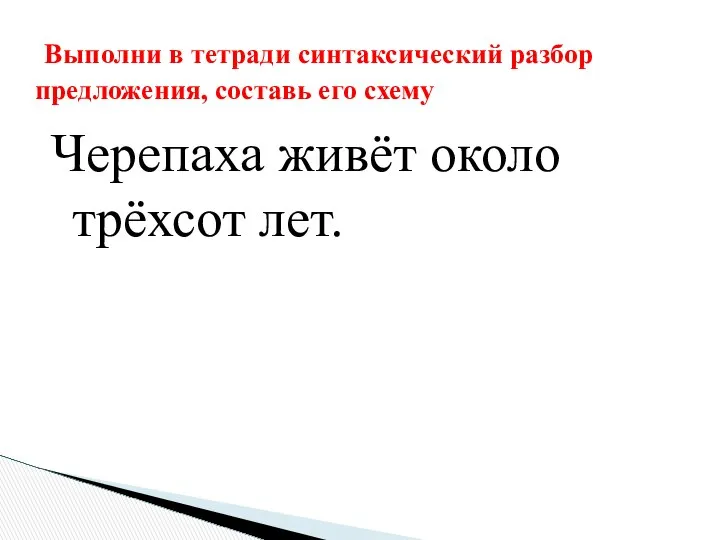 Черепаха живёт около трёхсот лет. Выполни в тетради синтаксический разбор предложения, составь его схему