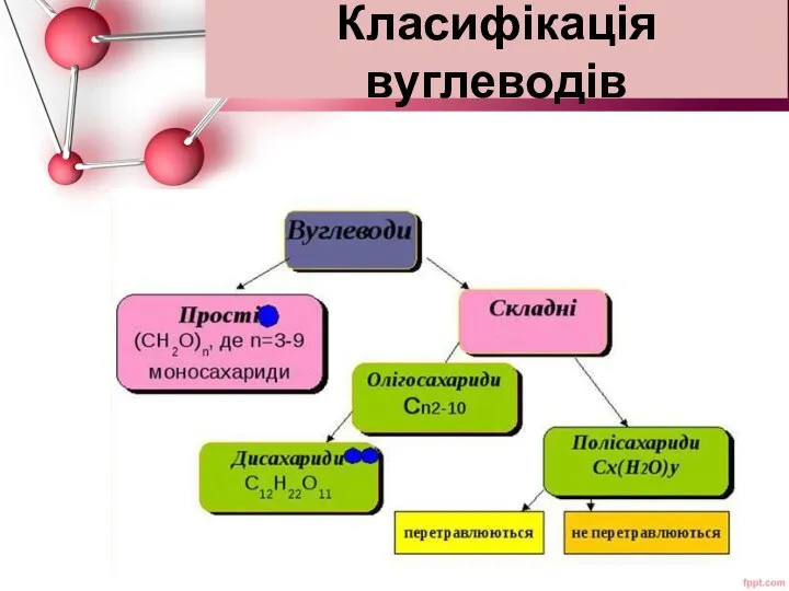 Класифікація вуглеводів