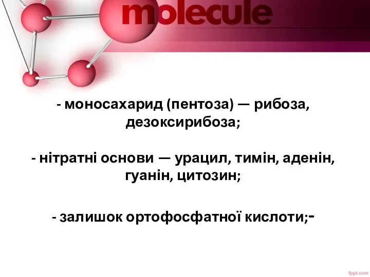 - моносахарид (пентоза) — рибоза, дезоксирибоза; - нітратні основи — урацил,