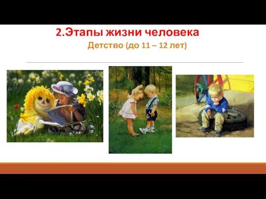 2.Этапы жизни человека Детство (до 11 – 12 лет)