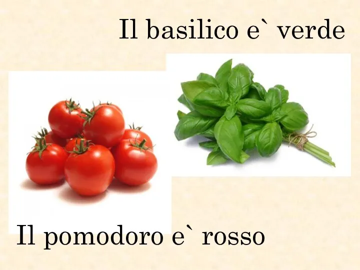 Il basilico e` verde Il pomodoro e` rosso