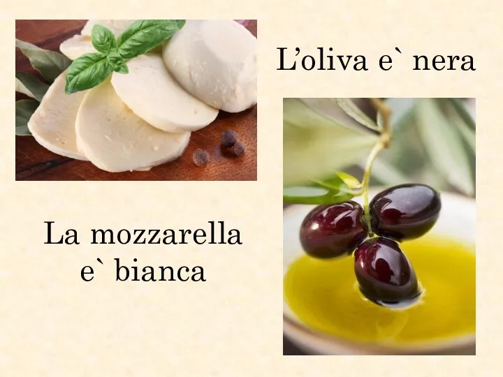 La mozzarella e` bianca L’oliva e` nera