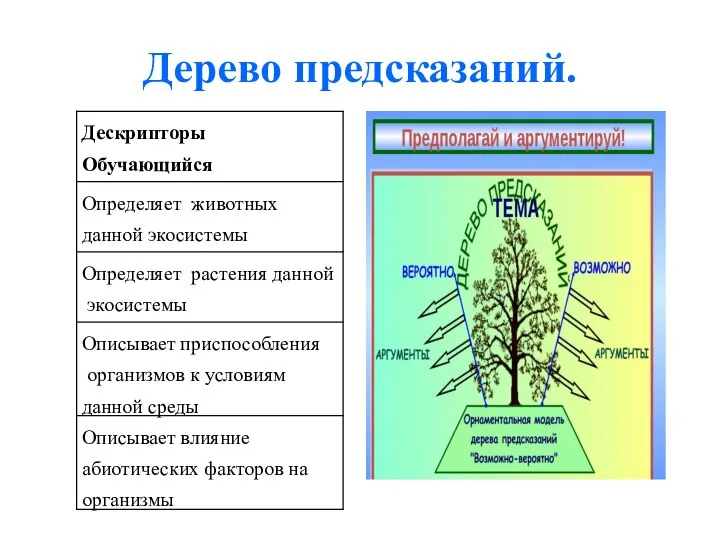 Дерево предсказаний.