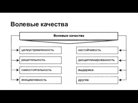 Волевые качества