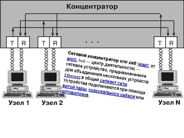 Сетевой концентратор или хаб (жарг. от англ. hub — центр деятельности)