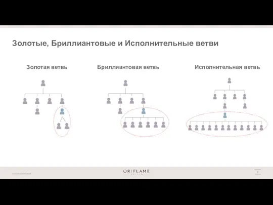 Золотые, Бриллиантовые и Исполнительные ветви Золотая ветвь Бриллиантовая ветвь Исполнительная ветвь