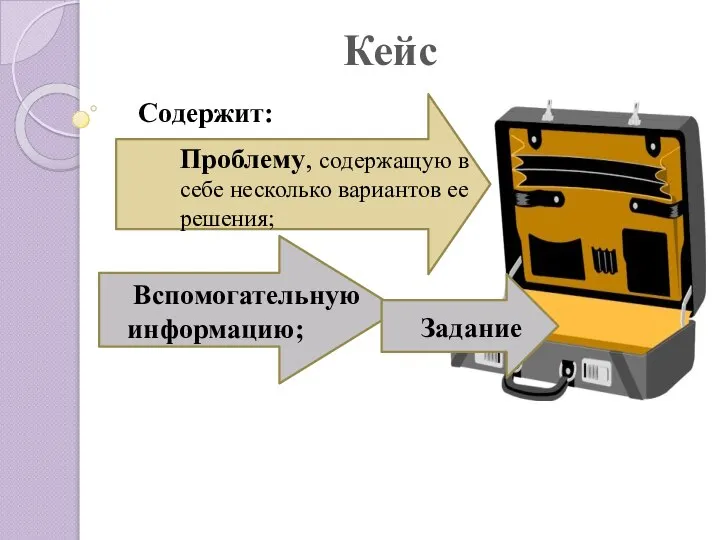 Содержит: Кейс