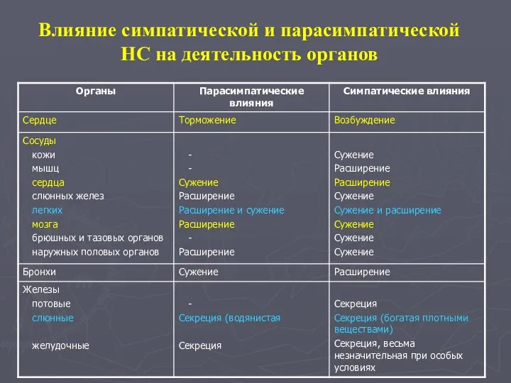 Влияние симпатической и парасимпатической НС на деятельность органов