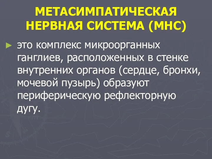 МЕТАСИМПАТИЧЕСКАЯ НЕРВНАЯ СИСТЕМА (МНС) это комплекс микроорганных ганглиев, расположенных в стенке