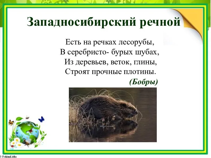 Западносибирский речной Есть на речках лесорубы, В серебристо- бурых шубах, Из