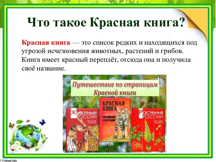 Что такое Красная книга? Красная книга — это список редких и