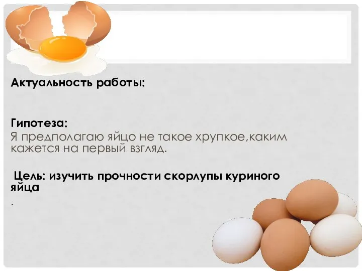 Актуальность работы: Гипотеза: Я предполагаю яйцо не такое хрупкое,каким кажется на