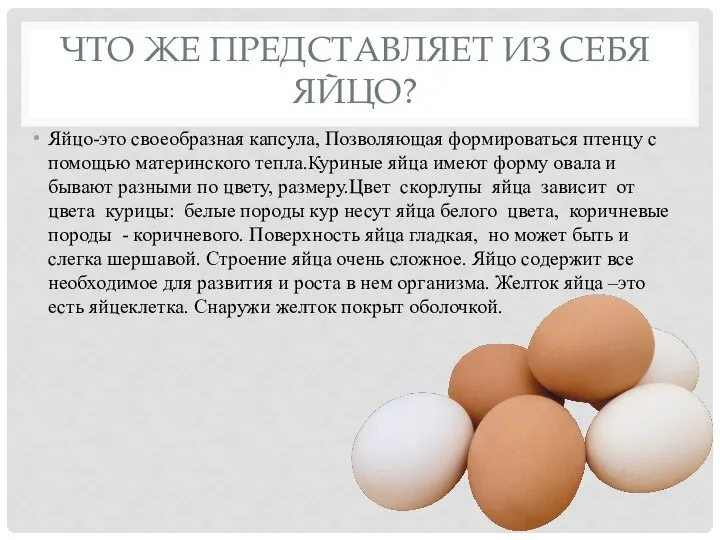 ЧТО ЖЕ ПРЕДСТАВЛЯЕТ ИЗ СЕБЯ ЯЙЦО? Яйцо-это своеобразная капсула, Позволяющая формироваться