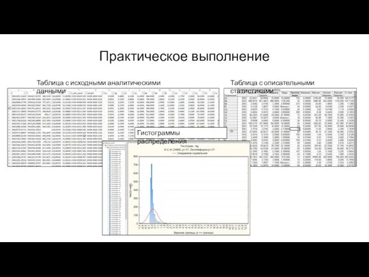 Практическое выполнение Таблица с исходными аналитическими данными Таблица с описательными статистиками Гистограммы распределения