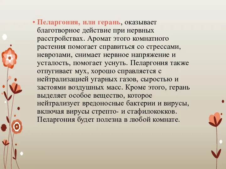 Пеларгония, или герань, оказывает благотворное действие при нервных расстройствах. Аромат этого