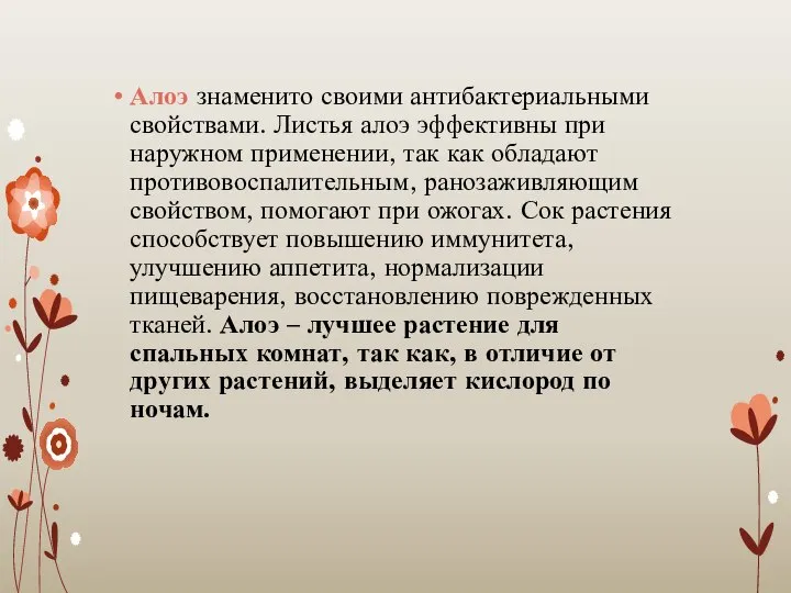 Алоэ знаменито своими антибактериальными свойствами. Листья алоэ эффективны при наружном применении,