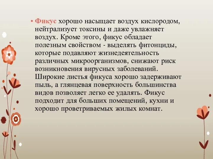 Фикус хорошо насыщает воздух кислородом, нейтрализует токсины и даже увлажняет воздух.