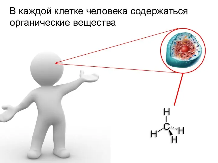 В каждой клетке человека содержаться органические вещества