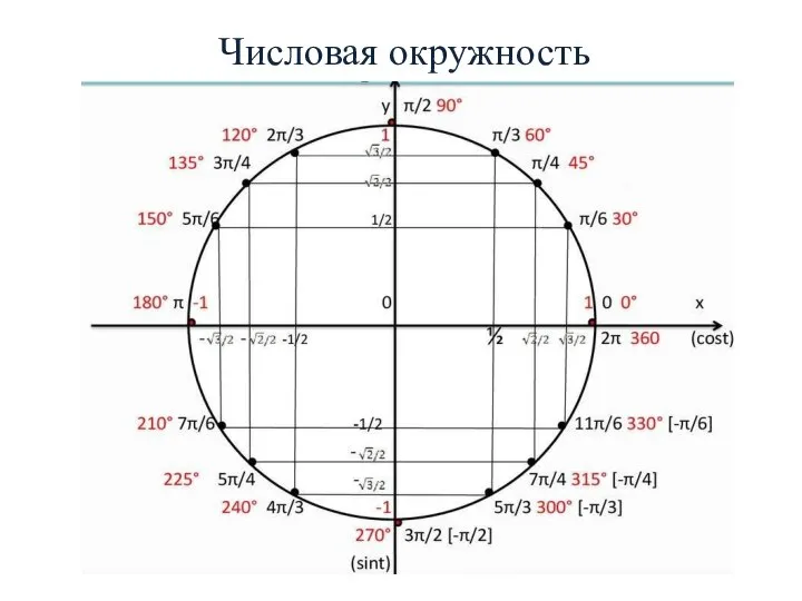 Числовая окружность