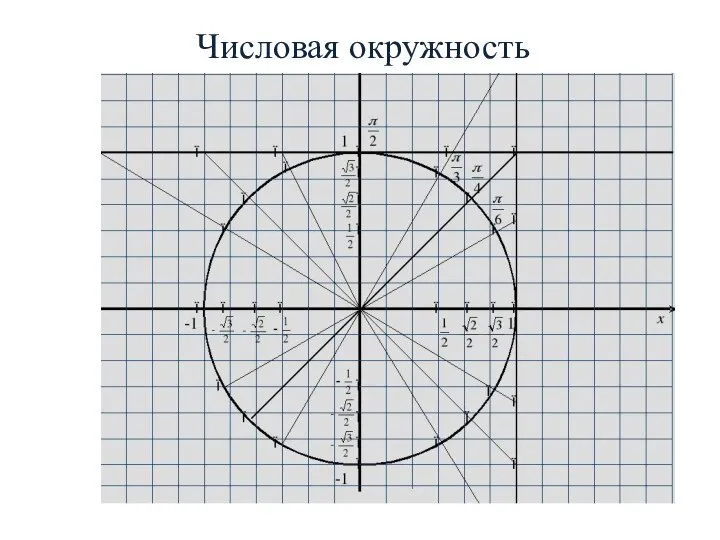 Числовая окружность