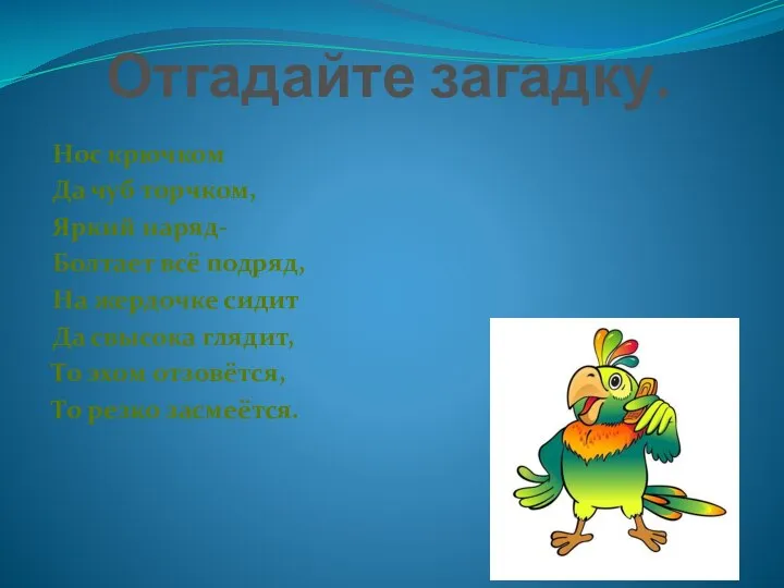 Отгадайте загадку. Нос крючком Да чуб торчком, Яркий наряд- Болтает всё