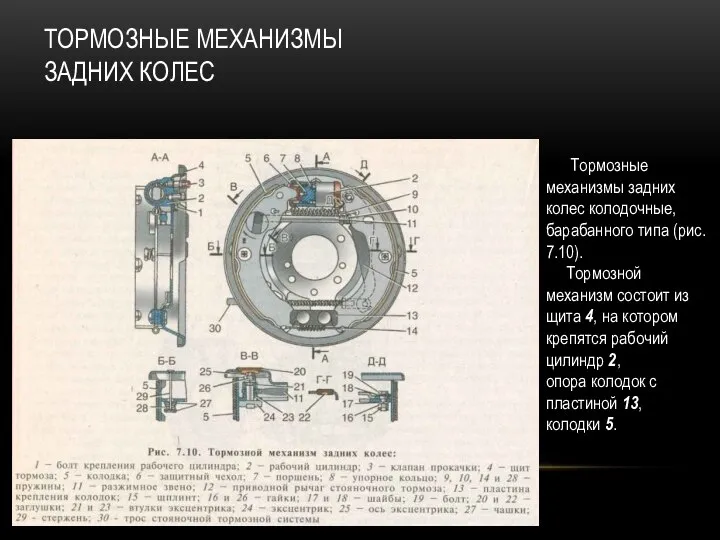 ТОРМОЗНЫЕ МЕХАНИЗМЫ ЗАДНИХ КОЛЕС Тормозные механизмы задних колес колодочные, барабанного типа