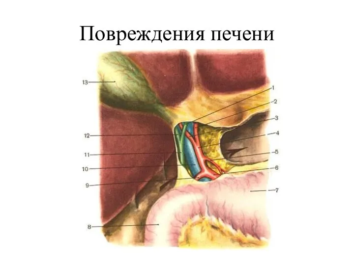 Повреждения печени