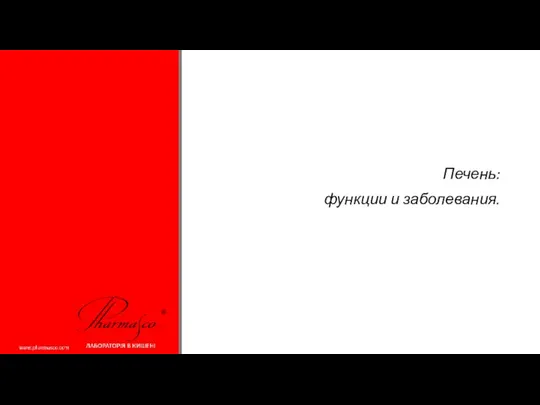 Печень: функции и заболевания.